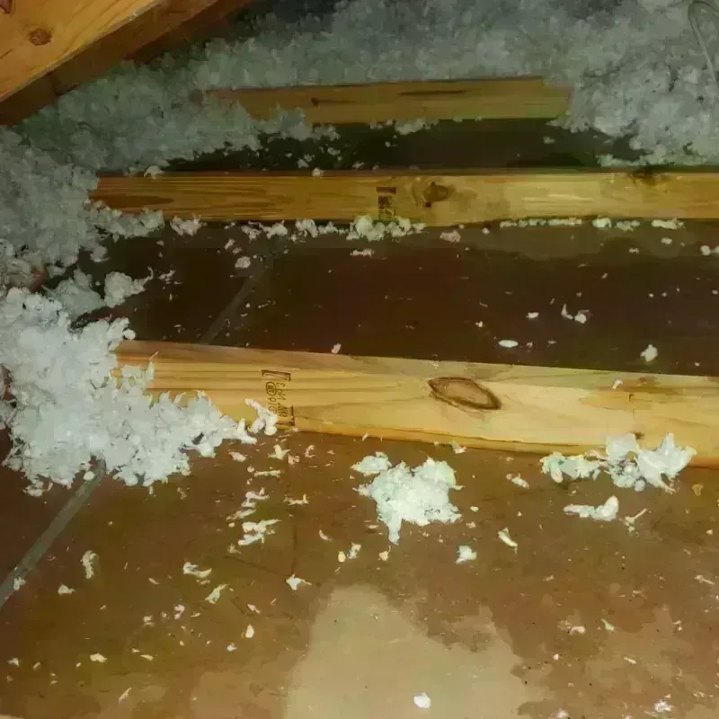 Attic Water Damage in Burke, SD