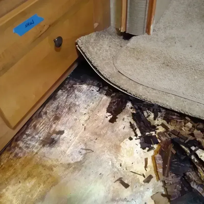 Wood Floor Water Damage in Burke, SD